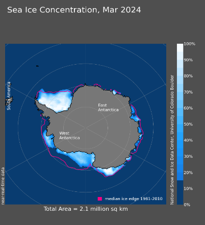Concentrazione del ghiaccio marino in marzo 2024. La linea magenta mostra l'estensione media dal 1981 al 2010