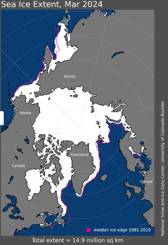 Estensione del ghiaccio marino in marzo 2024. La linea magenta mostra l'estensione media dal 1981 al 2010
