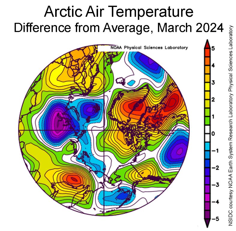 Scostamento della temperatura atmosferica di marzo 2024 nell’Artico al livello di 925 hPa rispetto alla media trentennale. Le tonalità gialle e rosse indicano temperature superiori alla media; quelle blu e viola inferiori alla media
