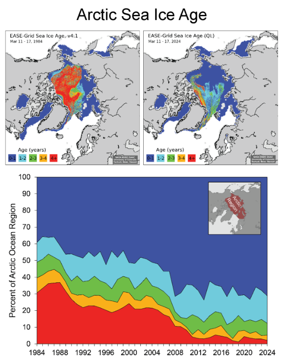 Le mappe in alto mostrano l'età del ghiaccio marino per la settimana dall'11 marzo al 17 marzo per il 1984 (figura a sinistra) per il 2024 (figura a destra). Il grafico in basso è una serie temporale della percentuale dell'estensione del ghiaccio marino all'interno del dominio dell'Oceano Artico (mappa nel riquadro) per lo stesso periodo (1984 – 2024); le categorie di colore sono le stesse delle mappe. Si nota la netta diminuzione del ghiaccio con più di 4 anni di età