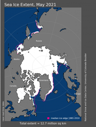 Estensione ghiacci marini artici maggio 2021